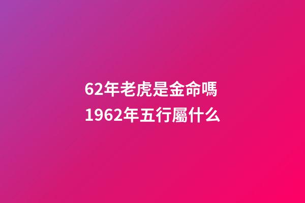 62年老虎是金命嗎 1962年五行屬什么-第1張-觀點-玄機派